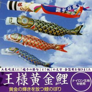 ベランダ用鯉のぼり☆２ｍ王様黄金鯉幟祝吹流しセット三角型取付金具付(Ｍ矢車)☆掲揚に必要なものが全部入ったこいのぼりフルセット｜sekku83