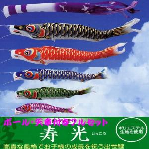 鯉のぼり用品☆普及型エコノミーポール12号☆Wパイル杭で安全・簡単