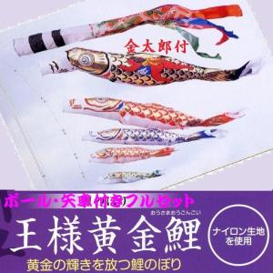 鯉のぼり 岡本太郎鯉のぼり 岡本太郎ミュージアム限定品 大型鯉庭園用