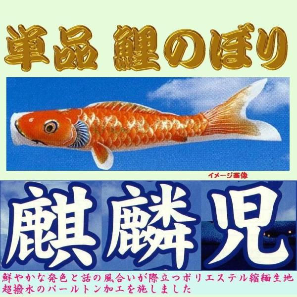 単品こいのぼり☆麒麟児鯉☆オレンジ８０ｃｍ鯉のぼり