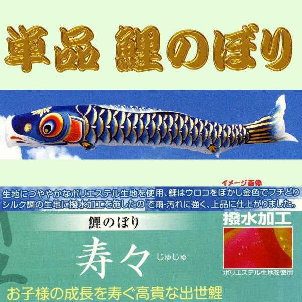 単品こいのぼり☆寿々鯉☆青８０ｃｍ鯉のぼり