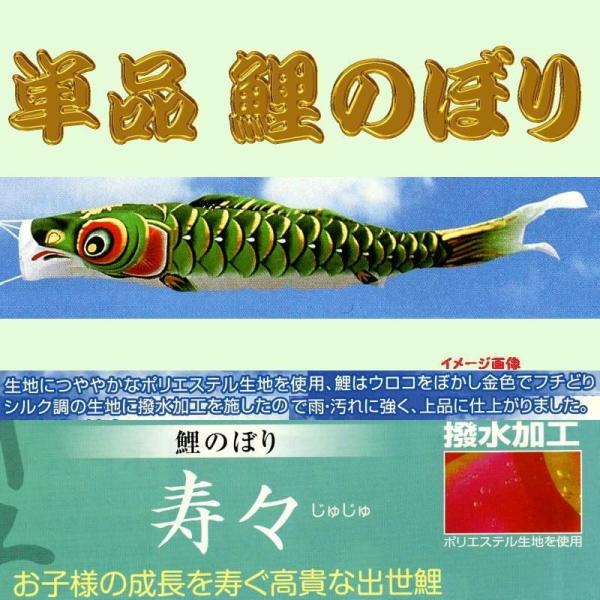 単品こいのぼり☆寿々鯉☆グリーン８０ｃｍ鯉のぼり