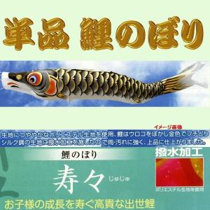 単品こいのぼり☆ナイロン鯉☆金太郎付黒5m鯉のぼり : 節句人形