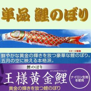 単品こいのぼり☆ナイロンゴールド(金入り)鯉☆赤5m鯉のぼり : 節句
