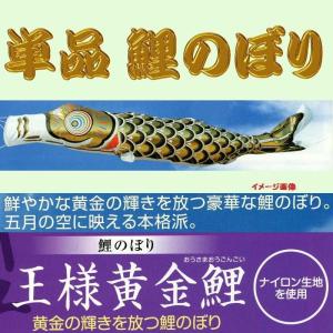 単品こいのぼり☆ナイロンゴールド(金入り)鯉☆赤5m鯉のぼり : 節句
