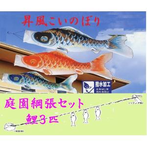 徳永鯉 こいのぼり 徳永 鯉のぼり 令和改元記念 桜風吹き流し 3m 単品