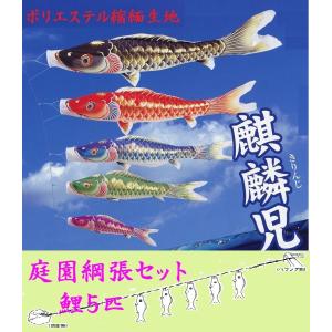 鯉のぼり 岡本太郎鯉のぼり 岡本太郎ミュージアム限定品 大型鯉庭園用