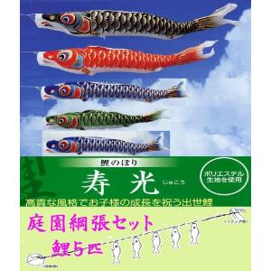 旭天竜 【100周年記念祭】こいのぼり 鯉のぼり 庭園用 1.5m6点