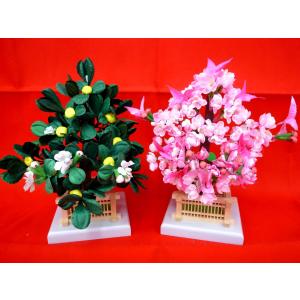 雛まつり☆御花単品☆桜橘醍醐自然木8号(高さ13cm)☆京都御所に