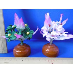 雛まつり☆御花単品☆桜橘明日香自然木40号(高さ33cm)☆京都御所