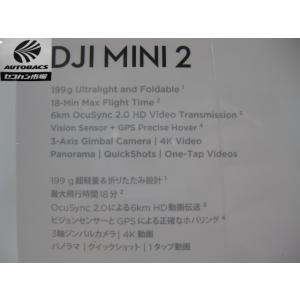 DJI ドローン MINI2 FLY MORE...の詳細画像2