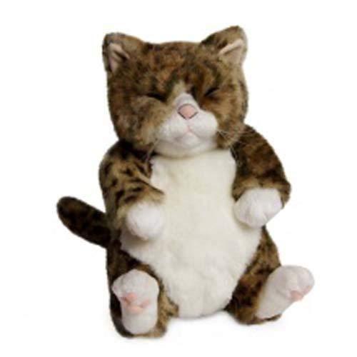 ちびピン　カドリー(Cuddly)　　猫のぬいぐるみ