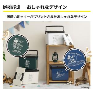 クーラーボックス 小型 ディズニー 12L ク...の詳細画像2