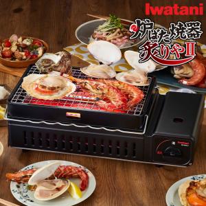 Iwatani（イワタニ） ガスボンベ 48本セット カセットガス 250g 3本×16