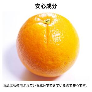 自動製氷機の汚れ取りま専科 5包入 10g 洗...の詳細画像2