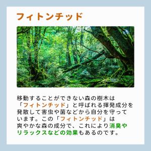 洗濯槽クリーナー 酸素系 自然 オーガニック ...の詳細画像4