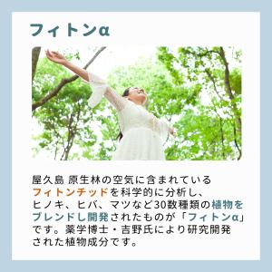 洗濯槽クリーナー 酸素系 自然 オーガニック ...の詳細画像5