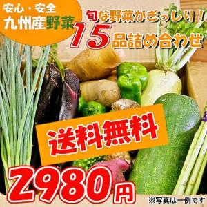 九州野菜15品詰め合わせセット/九州産