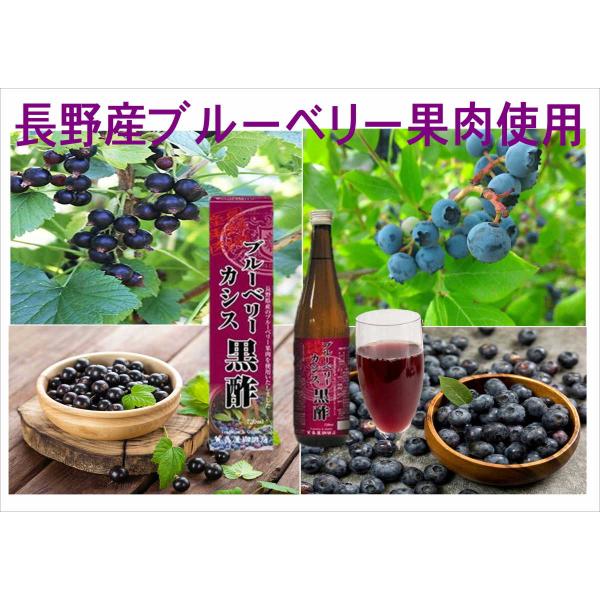 【6/9 全品+3％】健康飲料 黒酢 長野産ブルーベリー果肉使用 ブルーベリーカシス黒酢720ｍｌ　