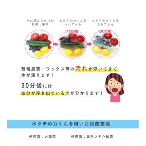 果物・野菜洗浄剤 ホタテの力くん 90g×8個...の詳細画像3