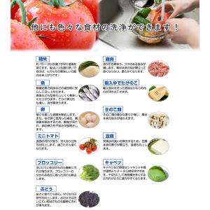 果物・野菜洗浄剤 ホタテの力くん 90g×8個...の詳細画像5