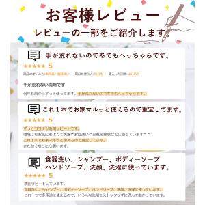 環境洗剤(エコ洗剤) 衣類・キッチン用 ココナ...の詳細画像2