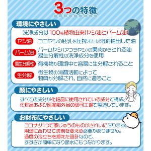 環境洗剤(エコ洗剤) 衣類・キッチン用 ココナ...の詳細画像3