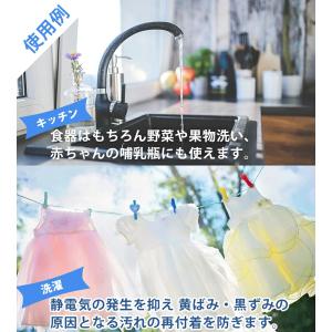 環境洗剤(エコ洗剤) 衣類・キッチン用 ココナ...の詳細画像4