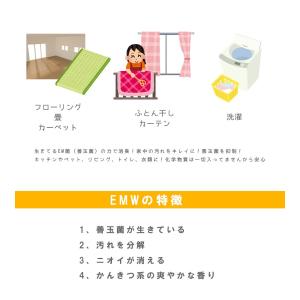 EMW 500ml ハウスケア用発酵液 家庭用...の詳細画像3