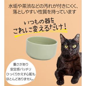 オーカッツ ヘルスウォーター ボウル 選べるサ...の詳細画像3