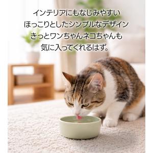 オーカッツ ヘルスウォーター ボウル 選べるサ...の詳細画像4