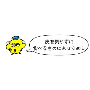 果物・野菜洗浄剤 ホタテの力くん 90g×24...の詳細画像3