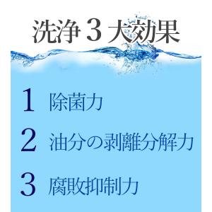 果物・野菜洗浄剤 ホタテの力くん 90g×24...の詳細画像4