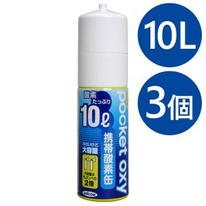圧縮型酸素ボンベ ポケットオキシ 10l Exuconsulting Ch