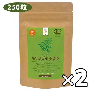 モリンガのチカラ タブレット 250粒×2袋セット 沖縄県産 国産 健康食品 ノンカフェイン｜select-mofu-y