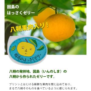 因島 はっさくゼリー 24個セット 八朔果肉入...の詳細画像1