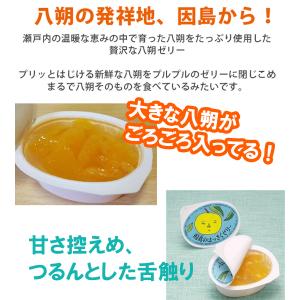 因島 はっさくゼリー 72個セット 八朔果肉入...の詳細画像2