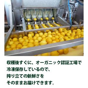 ビオカ 有機レモン 果汁ストレート100% 7...の詳細画像3