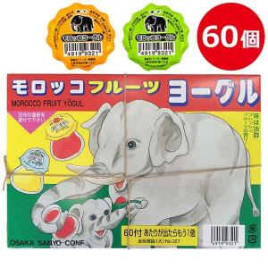 駄菓子 モロッコフルーツヨーグル 60個入り サンヨー製菓 49199321｜select-mofu-y
