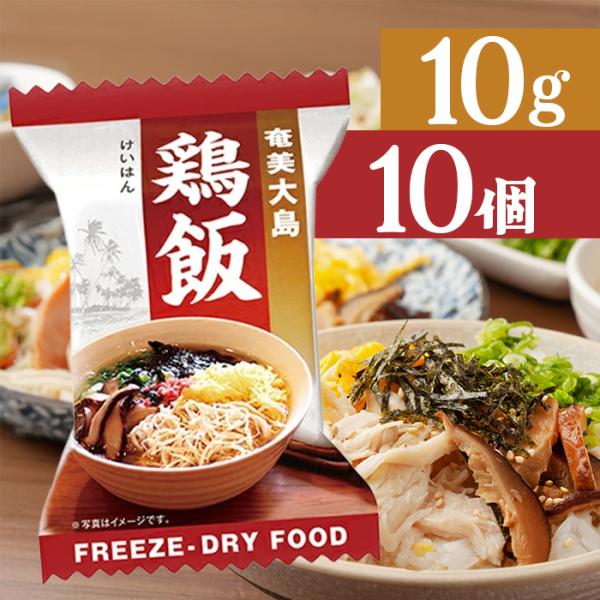 フリーズドライ食品 鶏飯 10g×10個セット インスタント ギフト 非常食 保存食 ご当地料理 奄...