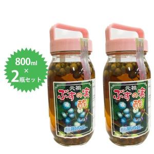 会津産】 ぶすの実酢 5本セット 馬ぶどう 野ぶどう : 奥会津河内屋