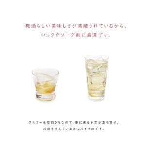 サントリー まるで梅酒なノンアルコール 500...の詳細画像2