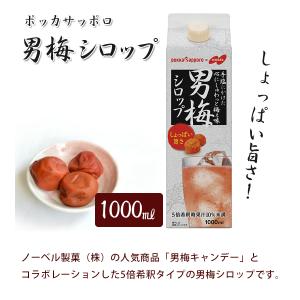 ポッカサッポロ 男梅シロップ 1000ml×3...の詳細画像1