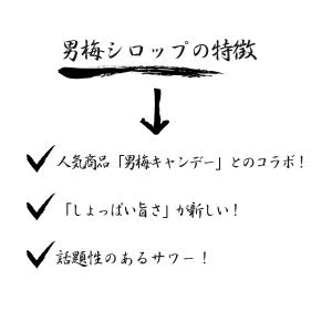 ポッカサッポロ 男梅シロップ 1000ml×3...の詳細画像2