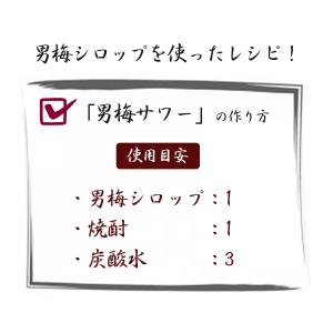 ポッカサッポロ 男梅シロップ 1000ml×3...の詳細画像3