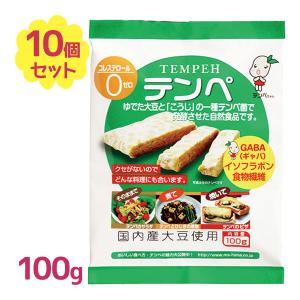 テンペ 100g×10個セット 国産大豆使用 無添加 タンパク質豊富 食物繊維 発酵食品 マルシン食品｜select-mofu-y
