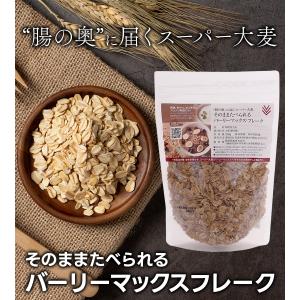 スーパー大麦 バーリーマックス フレーク 20...の詳細画像1