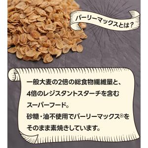 スーパー大麦 バーリーマックス フレーク 20...の詳細画像2