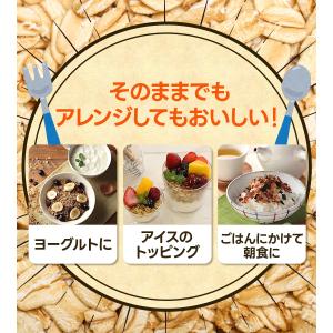 スーパー大麦 バーリーマックス フレーク 20...の詳細画像3