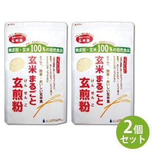 玄米まるごと玄煎粉 500g×2個セット 無添加 玄米100％ 自然食品 簡単 北海道産 山川｜select-mofu-y